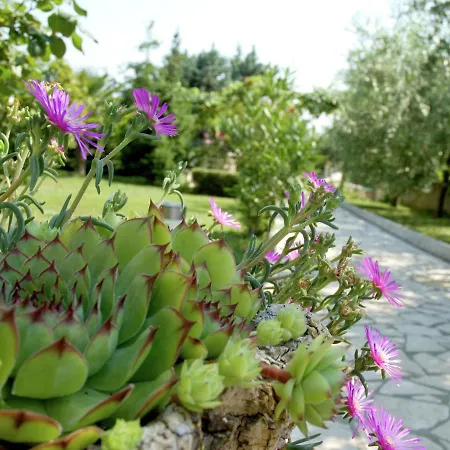 Spacious And Comfortable House With Beautiful Garden Near Tar And Beach 900 M Hébergement de vacances Tar-Vabriga